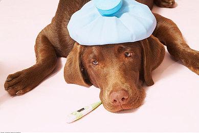 暗黑像素哥特风RPG《Drova - Forsaken Kin》的开发商Just2D将与DECK13